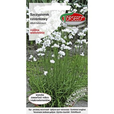 SZCZYPIOREK Czosnkowy Nasiona odporny na mróz